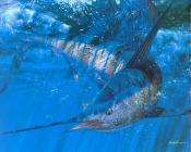 马克 苏祖尼奥 : -Unknown